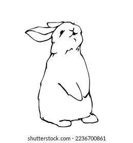 Linear sketch of a rabbit.Vector graphics.