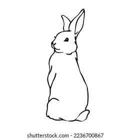 Linear sketch of a rabbit.Vector graphics.