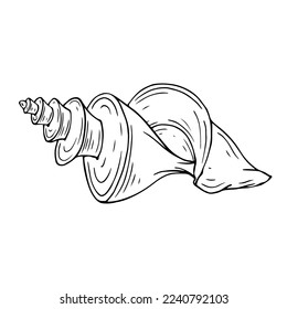 Linear sketch of a seashell.Vector graphics.