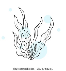 Linear sketch of seaweed leaves.Algae. Vector graphics.