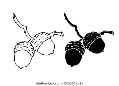 Linear sketch, silhouette of oak branches with acorns. Vector graphics.