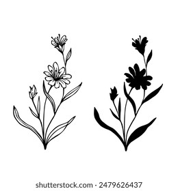 Linear sketch, silhouette of a plant, meadow grass, wildflowers, dried flowers. Vector graphics.