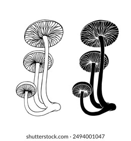 Linear sketch, silhouette, stamp of wild mushrooms toadstools. Vector graphics.