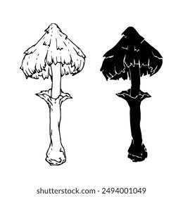 Linear sketch, silhouette, stamp of wild mushrooms toadstools. Vector graphics.