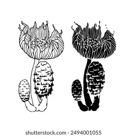 Linear sketch, silhouette, stamp of wild mushrooms toadstools. Vector graphics.