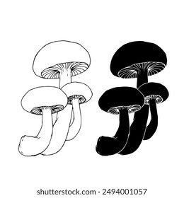 Linear sketch, silhouette, stamp of wild mushrooms toadstools. Vector graphics.