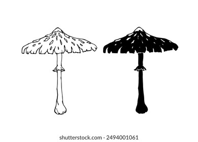 Linear sketch, silhouette, stamp of wild mushrooms toadstools. Vector graphics.