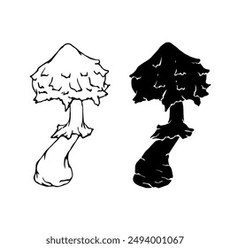 Linear sketch, silhouette, stamp of wild mushrooms toadstools. Vector graphics.