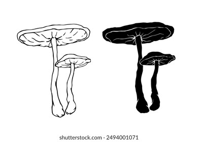 Linear sketch, silhouette, stamp of wild mushrooms toadstools. Vector graphics.