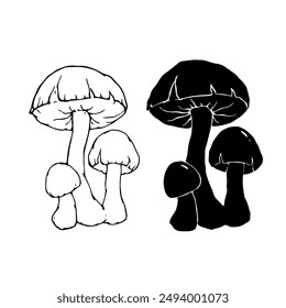 Linear sketch, silhouette, stamp of wild mushrooms toadstools. Vector graphics.