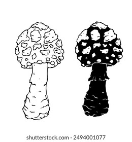 Linear sketch, silhouette, stamp of wild mushrooms toadstools. Vector graphics.