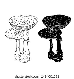 Linear sketch, silhouette, stamp of wild mushrooms toadstools. Vector graphics.