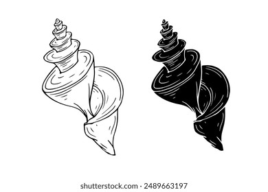 Linear sketch, silhouette, stencil of sea shells. Vector graphics