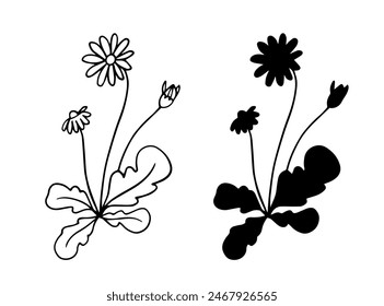 Linear sketch, silhouette of wildflowers, simple meadow grasses. Vector graphics.