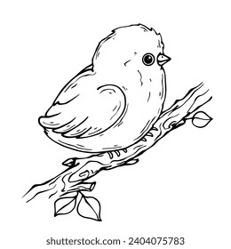 Linear sketch of a small bird on a spring branch. Vector graphics.