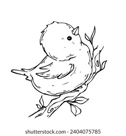 Lineare Skizze eines kleinen Vogels auf einem Frühlingszweig. Vektorgrafiken.