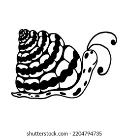 Linear Sketch, Snail Doodle.Vector Graphics.