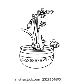 Linear sketch of a spring snowdrop flower in a vase.Vector graphics.