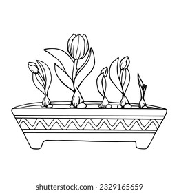 Linear sketch of a spring tulip flower in a vase.Vector graphics.