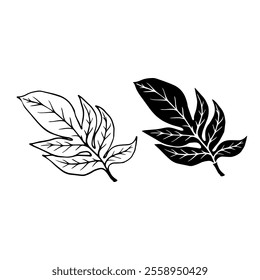 Linear sketch, stamp, silhouette of leaves. Simple botanical elements. Vector graphics.