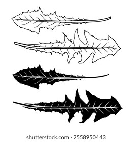 Linear sketch, stamp, silhouette of leaves. Simple botanical elements. Vector graphics.