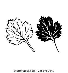 Linear sketch, stamp, silhouette of leaves. Simple botanical elements. Vector graphics.