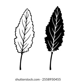 Linear sketch, stamp, silhouette of leaves. Simple botanical elements. Vector graphics.