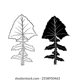 Linear sketch, stamp, silhouette of leaves. Simple botanical elements. Vector graphics.