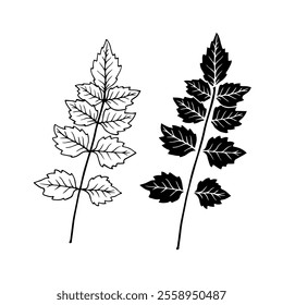 Linear sketch, stamp, silhouette of leaves. Simple botanical elements. Vector graphics.