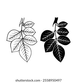 Linear sketch, stamp, silhouette of leaves. Simple botanical elements. Vector graphics.