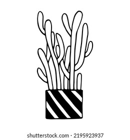 Linear sketch of a succulent plant. Simple houseplant illustration. Stylized vector graphic.