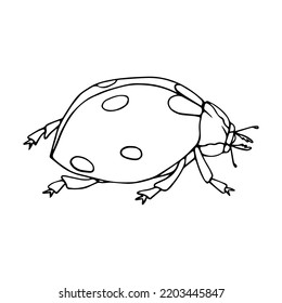 Linear sketch of a summer insect, ladybug doodle.Vector graphics.