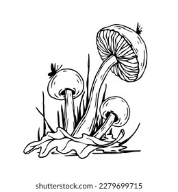 Linear sketch of toadstool mushrooms with forest plants. Vector graphics.
