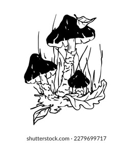 Linear sketch of toadstool mushrooms with forest plants. Vector graphics.