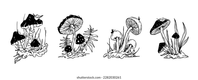 Linear sketch of toadstool mushrooms with forest plants. Vector graphics.	