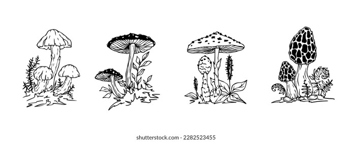 Linear sketch toadstool mushrooms