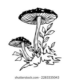Linear sketch of toadstool mushrooms with forest plants. Vector graphics.