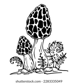 Linear sketch of toadstool mushrooms with forest plants. Vector graphics.