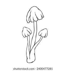 Linear sketch of a toadstool mushroom.Vector graphics.