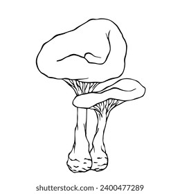 Linear sketch of a toadstool mushroom.Vector graphics.