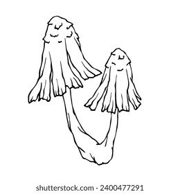 Linear sketch of a toadstool mushroom.Vector graphics.