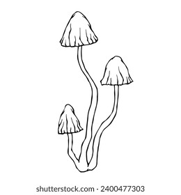 Linear sketch of a toadstool mushroom.Vector graphics.