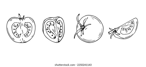 Esbozo lineal de la verdura del tomate.Gráficos vectoriales.	
