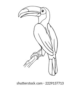 Esbozo lineal de un pájaro toscano. Gráficos vectoriales.