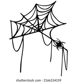 Linear sketch of a web with a black spider. Stylized vector graphics.