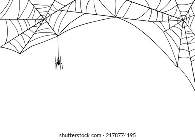 Linear sketch of a web with a spider. Vector graphics.