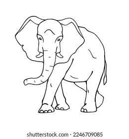Linear sketch of a wild animal of the African savannah, an elephant. Vector graphics.
