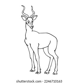Linear sketch of a wild animal of the African savannah, gazelle. Vector graphics.