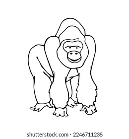 Linear sketch of a wild animal of the African savannah, gorilla monkey. Vector graphics.