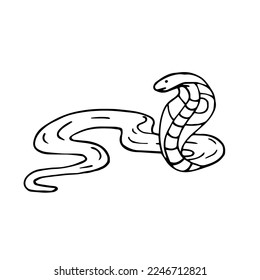 Linear sketch of a wild animal of the African savannah, the crawl cobra. Doodle reptile. Vector graphics.